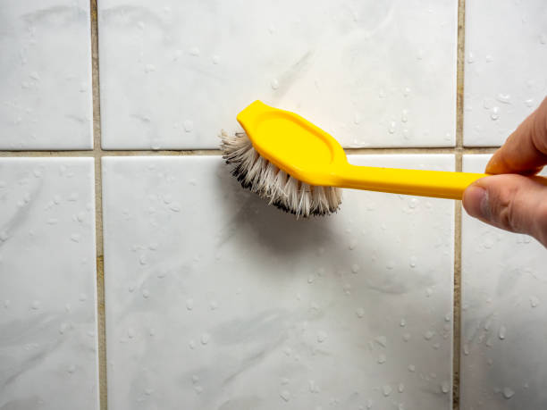 Best Mold Removal Company Near Me  in North Newton, KS