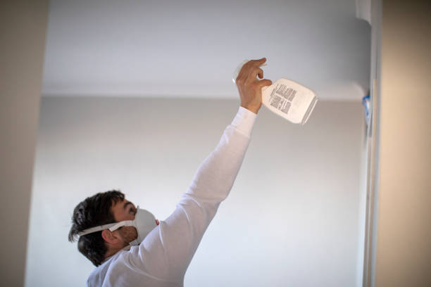 Best Home Mold Removal  in North Newton, KS