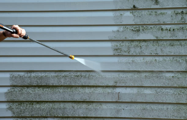 Best Residential Mold Removal  in North Newton, KS
