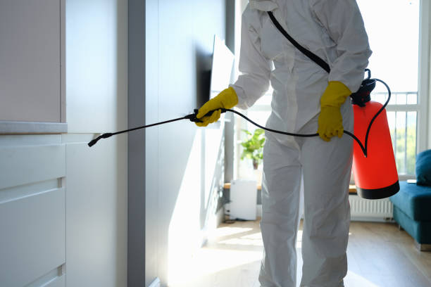 Home Mold Removal in North Newton, KS